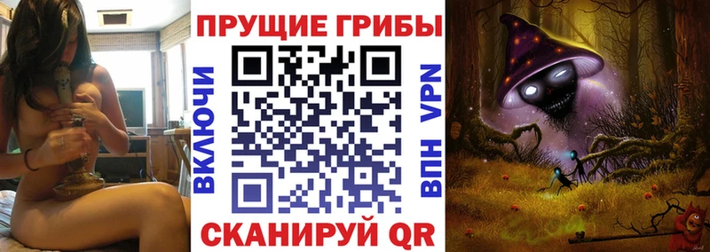 Псилоцибиновые грибы мицелий  blacksprut как зайти  Бутурлиновка 